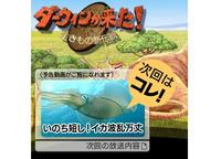 ダーウィンが来た！