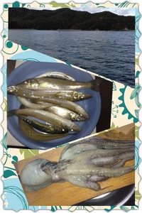 ・2011年釣納め 2011/12/31 01:17:32
