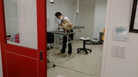 初トリミング 2013/08/15 17:32:45