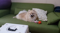 実家に預けて５日目 2013/08/09 15:14:55
