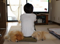 サプライズ！ 2013/08/28 10:40:57