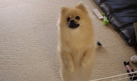 初ヒート終了♪ 2013/08/13 07:05:37