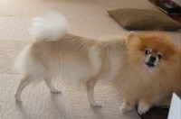 もうすぐ11か月 2013/10/07 07:43:35