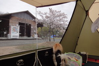 乾燥撤収出来るかな？ 2012/04/17 09:04:20