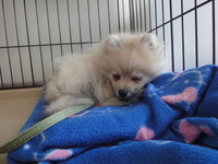 誤飲。。。 2013/03/15 09:26:03
