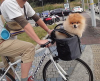 自転車で 2011/11/03 23:23:57