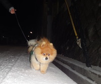 晴れてたのに。。。 2013/01/28 07:04:17