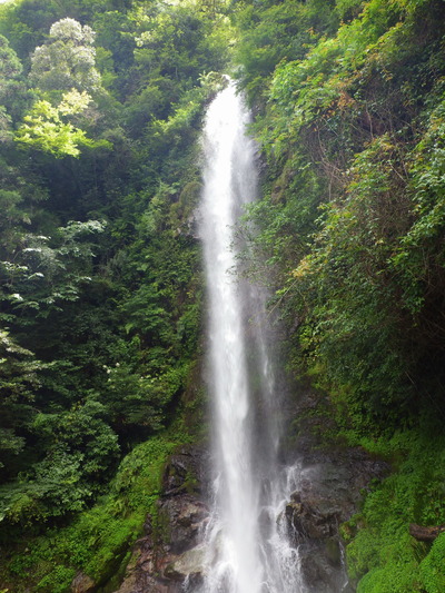高知旅行（1）大樽の滝