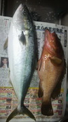 富来遠征 2010/07/17 11:12:59