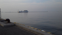 以上無し… 2011/05/16 16:35:43