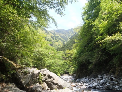 緑も眩しく、気温も高いが、水冷たし!!