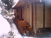 雪の中をトボトボ・・　　-小平ふるさと村-
