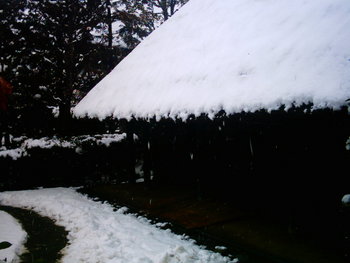 雪の中をトボトボ・・　　-小平ふるさと村-