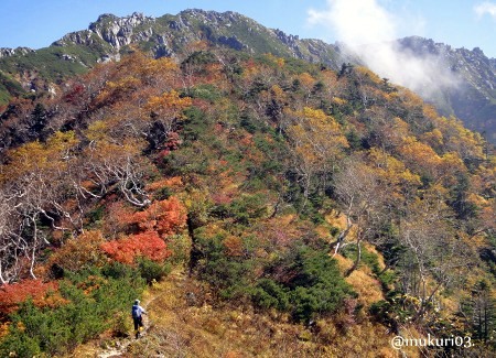 2012 紅葉トレック