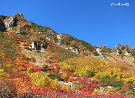 千畳敷カール 2013