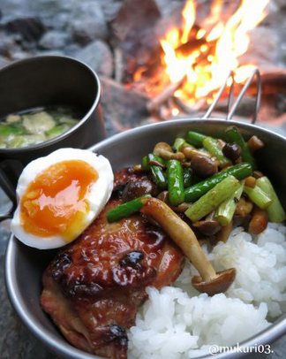 焚火丼