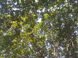 榛名湖オートキャンプ場 2011夏 - 2