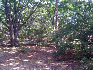 榛名湖オートキャンプ場 2011夏 - 2