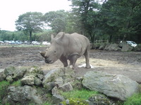 意外と灼熱でもなかった柿田川 2009/08/12 00:58:26