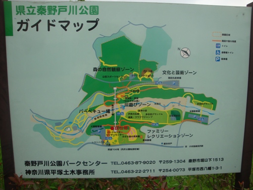 秦野戸川公園で川遊び。