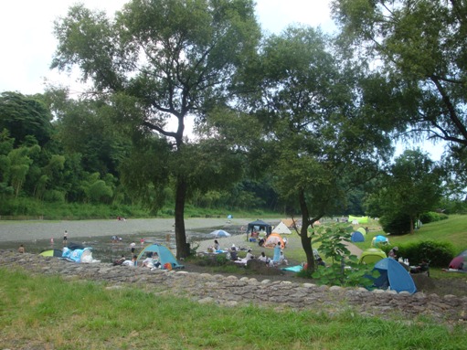 秦野戸川公園で川遊び。