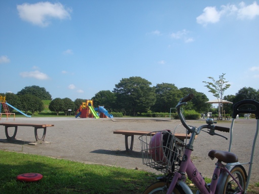 いつもの・・・