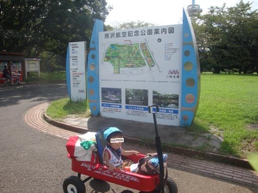 所沢航空記念公園まで行ってみたりした。