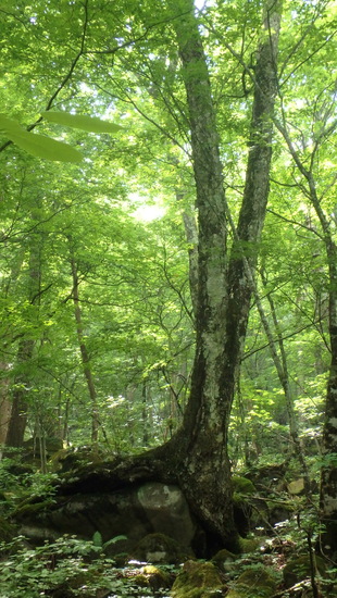 男ならやっぱりリベンジはしないとでしょ!?　　～赤城大沼外輪山　前編～