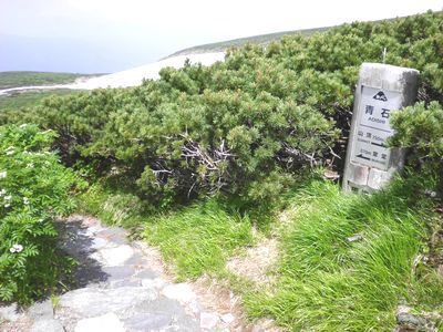 ブラボー！晴天の白山