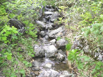 ブラボー！晴天の白山