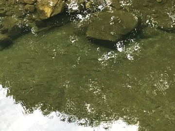 静かなるエーゲ海(泣)