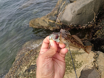 釣り人にもどる・・・