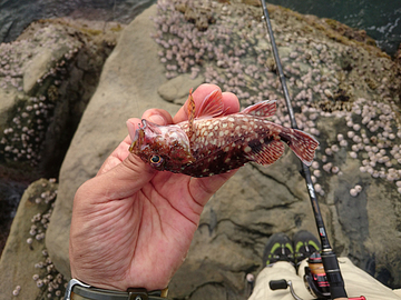 釣り人にもどる・・・