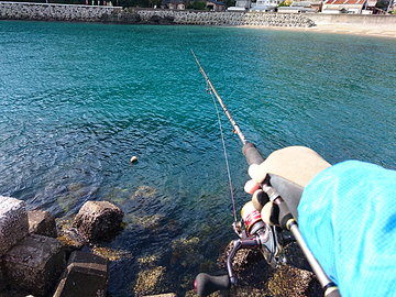 カマス釣りの奥義？
