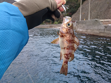 釣り納まった2017年？？？