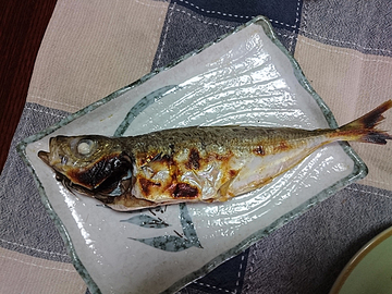 生まれ故郷の釣納め?【復帰のための備忘録4月編】 生まれ故郷の釣納め?【復帰のための備忘録4月編】