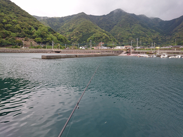 生まれ故郷の釣納め?【復帰のための備忘録4月編】 生まれ故郷の釣納め?【復帰のための備忘録4月編】