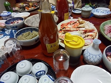 未練港釣り納め