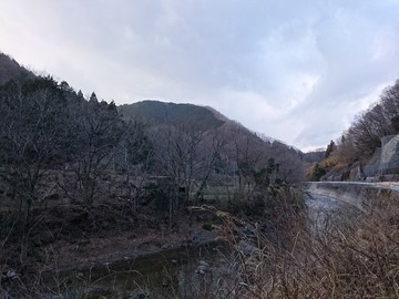 鯨は川を遡上する 鯨は川を遡上する