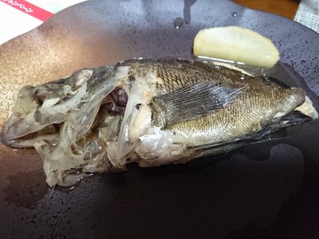 帰ってきた上げ潮魚休