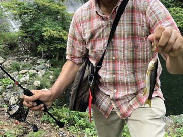 君は青い潮流を見たか?(謎) 君は青い潮流を見たか?(謎)