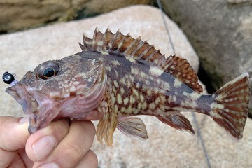非日常的な離島の日常 非日常的な離島の日常