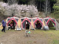 松田川でお花見キャンプ！(その1)