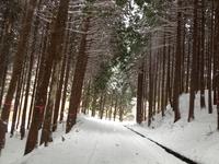 2月の大鬼谷雪遊び 2014/02/11 23:03:22