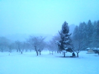 2月8日の記事 2014/02/08 06:34:38