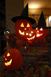 ハロウィンキャンプのおかいもの