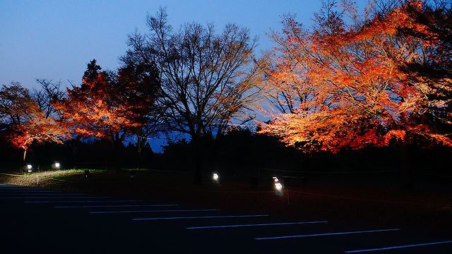 【徒歩で行くソロキャンプ】　紅葉と温泉　伊香保温泉編