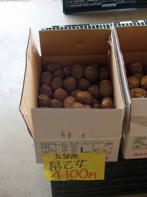 阿賀の里で買い物：桂清水の帰り道＠新潟