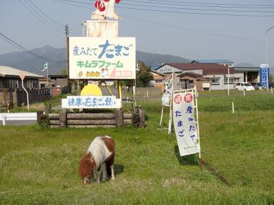 桂清水の水汲みと大湊直売所のお買いもの＠新潟