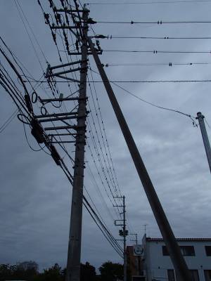電線の鳥のフン害防止対策：鳥屋野潟ランニング＠新潟